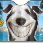 ΚΟΥΡΤΙΝΑΚΙ ΑΛΟΥΜΙΝΙΟΥ ΣΚΥΛΟΣ 145x70cm 10123C AUTOLINE