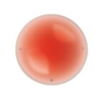 Συσκευή βοήθειας ύπνου Dreamer 3, 2, 1 ... Fall asleep ! 14652 Terraillon