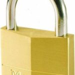 130EURD Μπρούτζινο Λουκέτο Πέταλο με Κλειδί 30mm 130030112 Master Lock