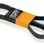 6PK1930 ΙΜΑΝΤΑΣ ΚΑΝΑΛΩΤΟΣ CONTINENTAL