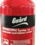 Auto Gs Πυροσβεστήρας Αυτοκινήτου 1kg Σκόνης με Βάση Στήριξης 18504