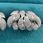 Σκουλαρίκια