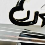 Σκουλαρίκια