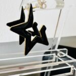 Σκουλαρίκια