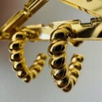 Σκουλαρίκια