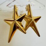 Σκουλαρίκια