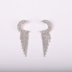 Σκουλαρίκια