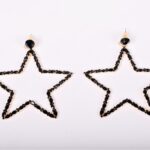 Σκουλαρίκια