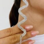 Σκουλαρίκια