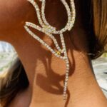 Σκουλαρίκια