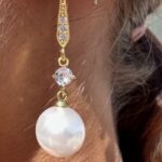 Σκουλαρίκια