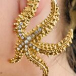 Σκουλαρίκια