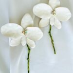 Σκουλαρίκια