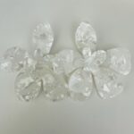 Σκουλαρίκια