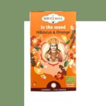 IN THE MOOD ( Η Δημιουργική Δύναμη Μέσα Μας )