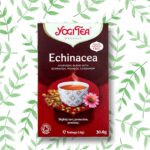 ECHINACEA