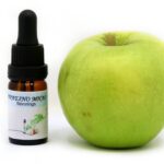 ΠΡΑΣΙΝΟ ΜΗΛΟ (ΑΡΩΜΑ ΤΡΟΦΙΜΩΝ)
