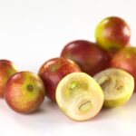 ΚΑΜΟΥ ΚΑΜΟΥ