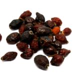 ΚΥΝΟΡΟΔΟ (ΚΑΡΠΟΙ)