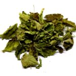 ΜΕΛΙΣΣΟΧΟΡΤΟ / ΜΕΛΙΣΣΑ