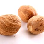 ΜΟΣΧΟΚΑΡΥΔΟ (ΟΛΟΚΛΗΡΟ)