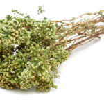 ΡΙΓΑΝΗ ΜΑΤΣΟ