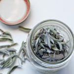 ΦΑΣΚΟΜΗΛΟ - SAGE