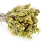 ΤΣΑΙ ΤΟΥ ΒΟΥΝΟΥ