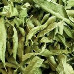 ΛΟΥΙΖΑ - LEMON VERBENA