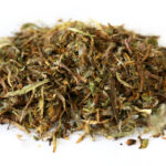 ΤΑΡΑΞΑΚΟ (ΦΥΛΛΑ)