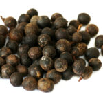 ΔΑΦΝΟΚΟΥΚΟΥΤΣΑ