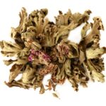 ΑΡΜΠΑΡΟΡΙΖΑ - PELARGONIUMgrAVEOLENS