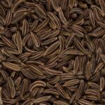 ΑΓΡΙΟ ΚΥΜΙΝΟ