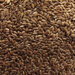 ΛΙΝΑΡΟΣΠΟΡΟΣ - FLAX SEEDS