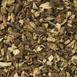 ΑΓΓΕΛΙΚΗ - ANGELICA