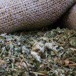 ΑΛΘΑΙΑ ΑΝΘΟΣ - MARSH MALLOW FLOWER