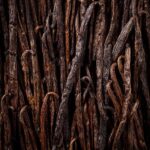 ΒΑΝΙΛΙΑ ΜΑΔΑΓΑΣΚΑΡΗΣ ΟΛΟΚΛΗΡΗ