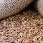 ΑΡΠΑΓΟΦΥΤΟ - DEVIL'S CLAW