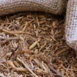 ΑΓΡΙΑΔΑ - COUCHgrASS