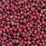 ΠΙΠΕΡΙ ΡΟΖ - PINK PEPPER