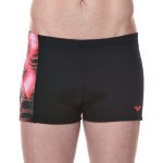 Arena Men Swimwear Banagir