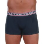 Lord Boxer, Revolution