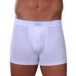 Lord Ανδρικό Boxer