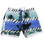 Βερμούδα μαγιό