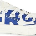 Converse Chuck Taylor All Star Ox 359535C White